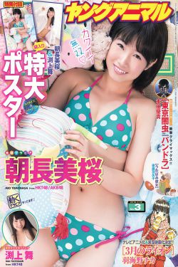 从爱情到幸福电视剧免费观看